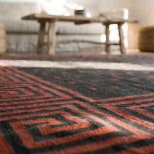 Bold Antique Indian Room Size Cotton Dhurrie Flat Woven Area Rug (SKU 21550) - in-room detail
