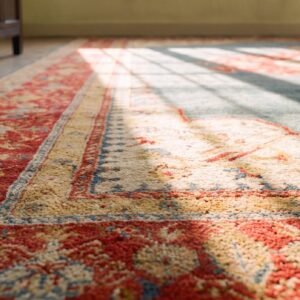 Bold Open Light Blue Field Tribal Antique Red Medallion Design Turkish Angora Oushak Rug (SKU 24805) - in-room detail