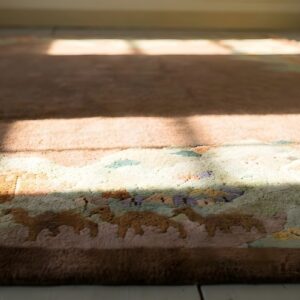 Antique Wool Brown Earth Tone Hand Knotted Pile Rug (SKU 23850) - in-room detail