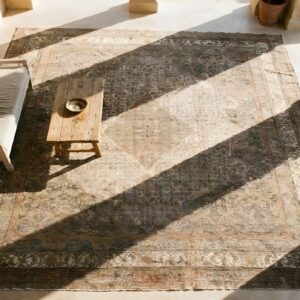 Brown Earth Tone , Coral Brown Earth Tone and Coral Antique Persian Bibikabad Wool Area Rug (SKU 25365) - styled overhead view