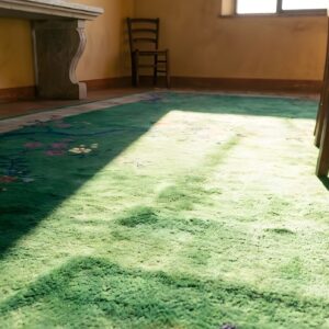 Antique Chinese - Art Deco Chinese Allover Floral Green 1920s Rug (SKU 24929) - in-room detail