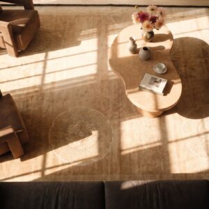 Antique Chinese Art Deco Allover Geometric Hand Knotted Pile Rug (SKU 21462) - styled overhead view