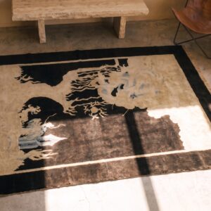Antique Chinese - Peking Chinese Black 1920s Rug (SKU 22612) - styled overhead view