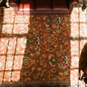 Coral Antique Allover Design Square Persian Sultanabad Rug (SKU 24076) - styled overhead view