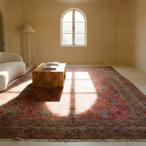 Coral Background Cypress Tree Pattern Antique Long and Narrow Oversized Persian Afshar Rug (SKU 25580) - room view