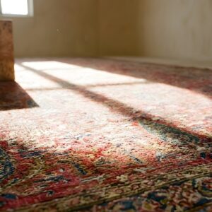 Coral Background Cypress Tree Pattern Antique Long and Narrow Oversized Persian Afshar Rug (SKU 25580) - in-room detail