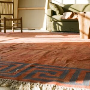 Coral Rustic Open Field Antique Indian Room Size Cotton Dhurrie Rug (SKU 22081) - in-room detail