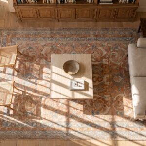 Knotted Cotton Antique Agra - 1930s Rectangle Ivory Small Scatter Size Indian Rug (SKU 21763) - styled overhead view