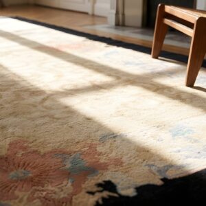 Cream Color Classic Antique Chinese Art Deco Design Area Rug (SKU 22663) - in-room detail