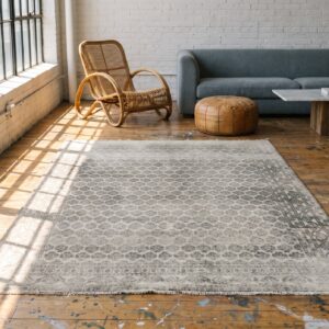 Decorative Light Gray Color Allover Geometric Pattern Antique Agra Rug (SKU 21347) - room view