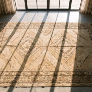 Antique East Turkestan Geomatic Pattern Light Color Khotan Rug (SKU 19648) - styled overhead view