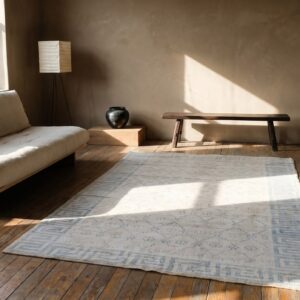 Faded Decorative Light Ivory Color Antique Small Cotton Agra Rug (SKU 21355) - room view