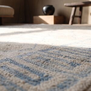 Faded Decorative Light Ivory Color Antique Small Cotton Agra Rug (SKU 21355) - in-room detail