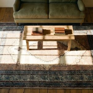 Fine Weave Small Scatter Size Antique Coral Floral Medallion Persian Tabriz Rug (SKU 25215) - styled overhead view