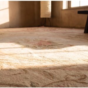 Antique French Aubusson Carpet 10'10"×15' Ivory Field, Rose Pink Border, Napoleon III, Circa 1880 (SKU 21472) - in-room detail