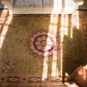 Antique French Empire Aubusson Carpet 11'×12'10" Olive Field, Chocolate Brown Border, Circa 1820 (SKU 23276) - styled overhead view