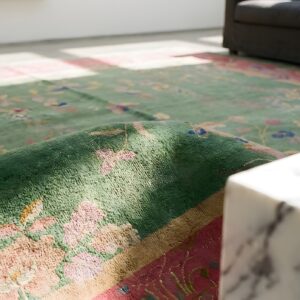 Green Background Room Size Antique Classic Chinese Deco Rug (SKU 23023) - in-room detail
