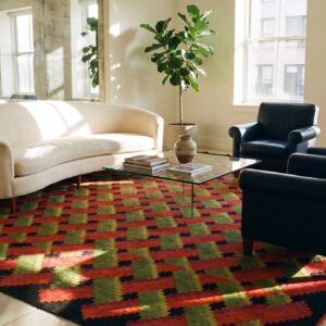 Green , Red Rare Green and Red Geometric Basket Weave Design Antique Ukraine Bessarabian Kilim Rug (SKU 25078) - room view
