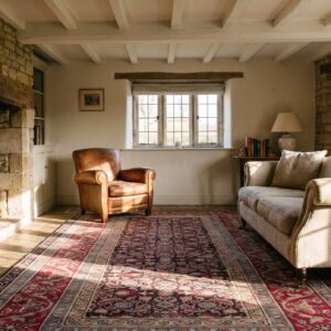 Antique Indian Agra Rug 5'×8'7" Hand-Knotted Wool, Circa 1910 (SKU 18010) - room view