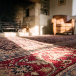 Antique Indian Agra Rug 5'×8'7" Hand-Knotted Wool, Circa 1910 (SKU 18010) - in-room detail