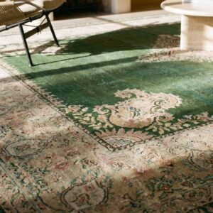 Antique Indian Amritsar Carpet 12'×14'9" Green Field, Soft Yellow Border, 19th Century (SKU 19476) - in-room detail