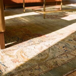 Antique Indian Amritsar Carpet 9'2"×11'8" Aqua Field, Ivory Border, Medallion Design, Circa 1900 (SKU 18072) - in-room detail
