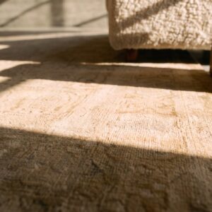 Antique Indian Amritsar Rug, Hand-Knotted Wool, Punjab (SKU 20774) - in-room detail