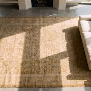 Antique Indian Amritsar Rug, Hand-Knotted Wool, Punjab (SKU 20774) - styled overhead view