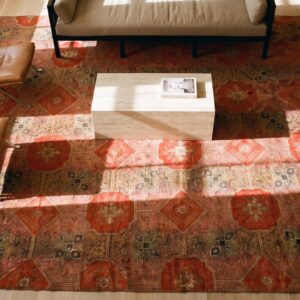 Antique Ingrain American Flat Weave Rug - Brown Earth Tone , Coral (SKU 25558) - styled overhead view