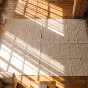 Ivory Cream Color Abstract Antique Persian Flat Woven Wool Kilim Rug (SKU 19539) - styled overhead view