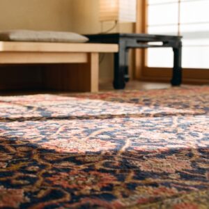Antique Joshaqan Persian Knotted Rug (SKU 21516) - in-room detail