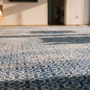 Antique Large Agra - Cotton Indian Knotted Rug (SKU 19497) - in-room detail