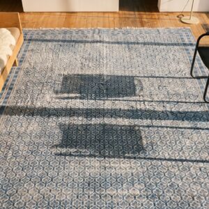 Antique Large Agra - Cotton Indian Knotted Rug (SKU 19497) - styled overhead view