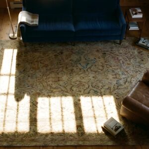 Antique Large Amritsar Indian Allover Knotted Rug (SKU 23884) - styled overhead view