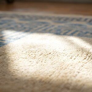 Antique Large Peking Chinese Geometric Knotted Dragon Rug (SKU 24851) - in-room detail