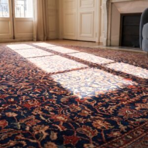 Antique Large Sarouk - Farahan Persian Knotted Rug (SKU 20282) - in-room detail