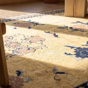Light Color Antique East Turkestan Khotan Wool Pile Area Rug (SKU 24501) - in-room detail