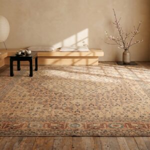 Light Color Fine Weave Classic Herati Design Antique Persian Tabriz Rug (SKU 20802) - room view