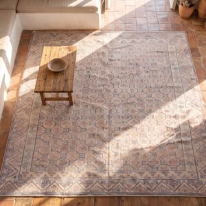 Light Color Tribal Geometric Allover Pattern Antique Indian Cotton Pile Agra Rug (SKU 20317) - styled overhead view