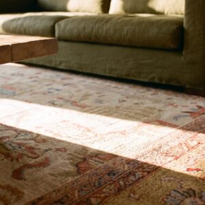 Light Cream Color Antique Tribal Geometric Room Size Persian Sultanabad Rug (SKU 23334) - in-room detail