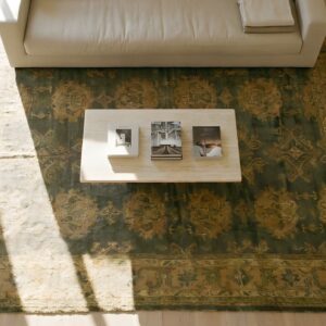 Light Decorative Gray Color Large Scale Design Antique Turkish Oushak Carpet (SKU 24788) - styled overhead view