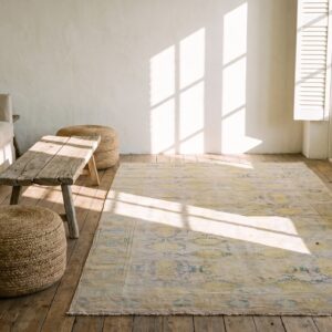 Light Decorative Washed Out Antique Small Indian Cotton Agra Rug (SKU 21152) - room view