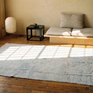 Light Faded Blue Color Antique Geometric Small Size Cotton Agra Rug (SKU 19971) - room view