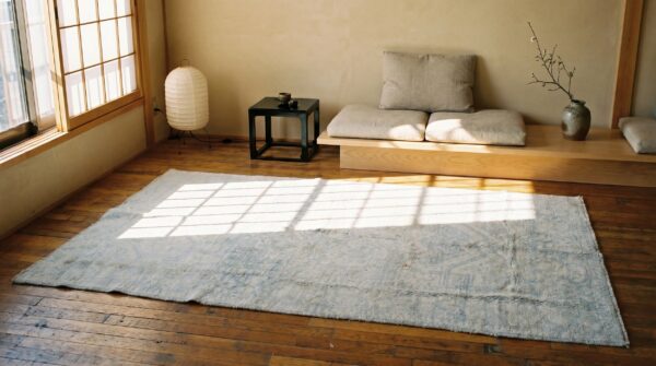 Light faded blue color antique geometric small size cotton agra rug 6 Light faded blue color antique geometric small size cotton agra rug (sku 19971) - room view
