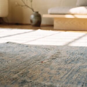 Light Faded Blue Color Antique Geometric Small Size Cotton Agra Rug (SKU 19971) - in-room detail