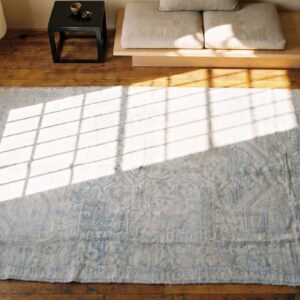 Light Faded Blue Color Antique Geometric Small Size Cotton Agra Rug (SKU 19971) - styled overhead view