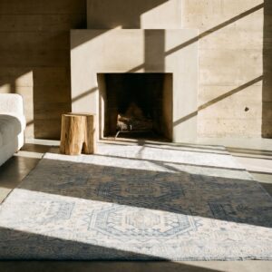 Antique Light Ivory Color Faded Blue Geometric Design Cotton Agra Rug From India (SKU 20129) - room view