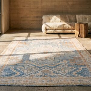 Light Washed Out Blue Color Tribal Geometric Design Antique Cotton Agra Rug (SKU 19441) - room view