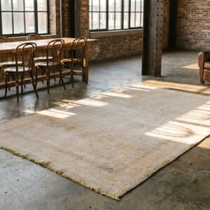 Light Washed Out Cream Color Antique Indian Cotton Agra Rug (SKU 20128) - room view