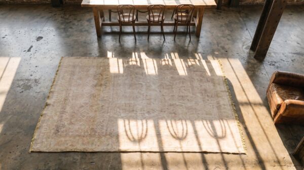 Light washed out cream color antique indian cotton agra rug 2 Light washed out cream color antique indian cotton agra rug (sku 20128) - styled overhead view